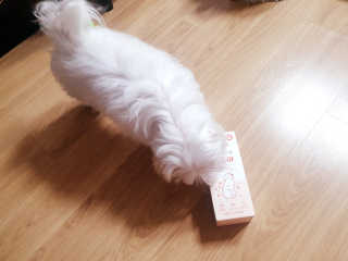 My Pet Care 모발과 모질 피부건강에 개좋아 — 5점을 준 리뷰어가 2021년 1월 올린 사용 사진