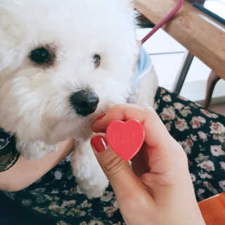 [블랙루즈] 컬러 락 하트 틴트 1+1 — 5점을 준 리뷰어가 2020년 7월 올린 사용 사진