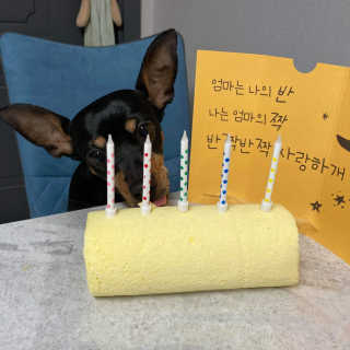 JihyunCho님이 올린 리뷰 사진 3