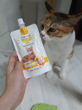 쮸동비님이 올린 리뷰 사진 2
