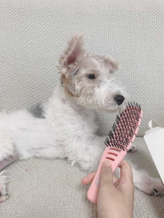 솜솜이2님이 올린 리뷰 사진 2