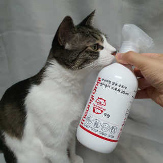 두냥이누나님이 올린 리뷰 사진 2