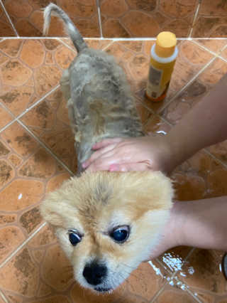 우디찡님이 올린 리뷰 사진 3