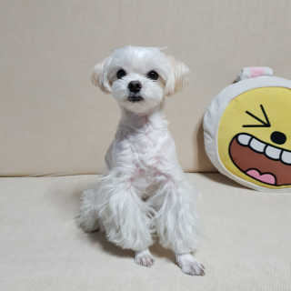 youngran님이 올린 리뷰 사진 3