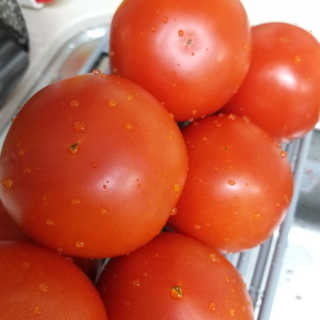 Sun님이 올린 리뷰 사진 3