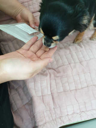 태훈맘님이 올린 리뷰 사진 3
