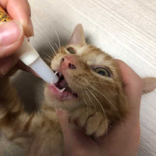김대준님이 올린 리뷰 사진 3