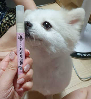 더펫원츠 [5초양치] 멍.치카펜 or 냥.치카펜 or 치카오일펜 — 5점을 준 리뷰어가 2020년 9월 올린 사용 사진