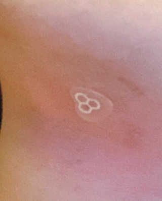 몽실이님이 올린 리뷰 사진 3