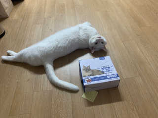 IS2UL님이 올린 리뷰 사진 2