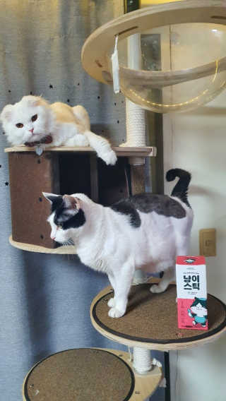채시아님이 올린 리뷰 사진 1