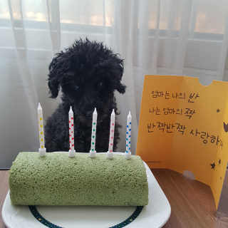 윙크하고아잉님이 올린 리뷰 사진 2