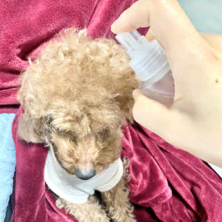 퉁퉁이❤️님이 올린 리뷰 사진 3