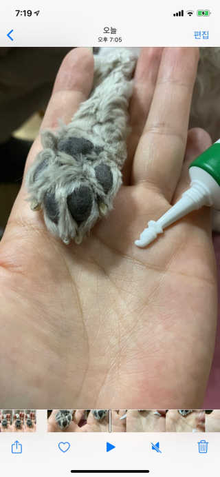 해바라기햇님님이 올린 리뷰 사진 3