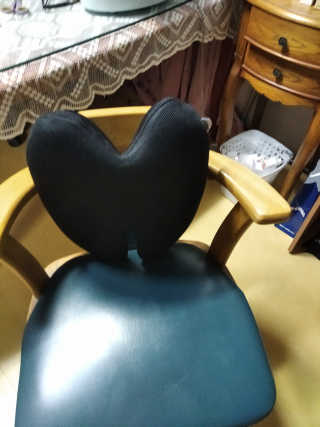 바네스데코 메모리폼 라텍스 등받이 날개쿠션 — 5점을 준 리뷰어가 2020년 4월 올린 사용 사진