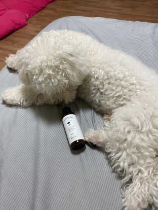 예봉봉봉님이 올린 리뷰 사진 2