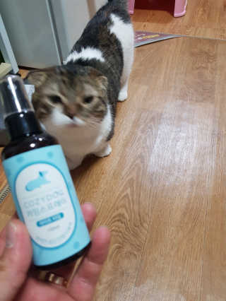 오남매맘님이 올린 리뷰 사진 3