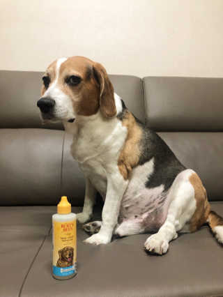 지우님이 올린 리뷰 사진 1