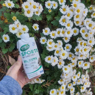 셀렉스스포츠 셀렉스 스포츠 드링크 초콜릿 _ 330ml x 12팩 — 5점을 준 리뷰어가 2020년 11월 올린 사용 사진
