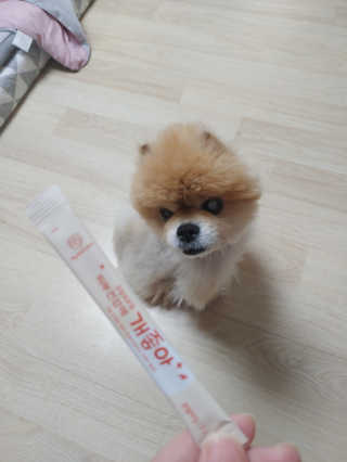 My Pet Care 모발과 모질 피부건강에 개좋아 — 5점을 준 리뷰어가 2020년 12월 올린 사용 사진