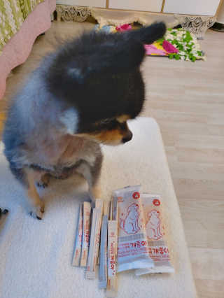My Pet Care 모발과 모질 피부건강에 개좋아 — 4점을 준 리뷰어가 2020년 12월 올린 사용 사진