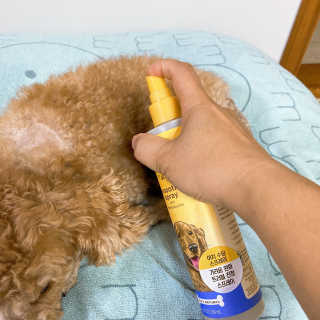 헤이뷰님이 올린 리뷰 사진 3