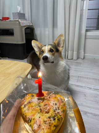 호두맞팔해요님이 올린 리뷰 사진 3