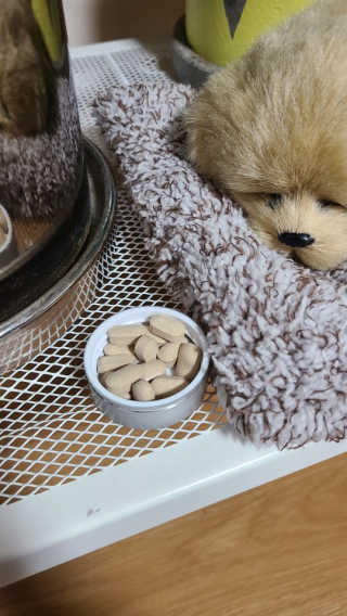 sunny님이 올린 리뷰 사진 3