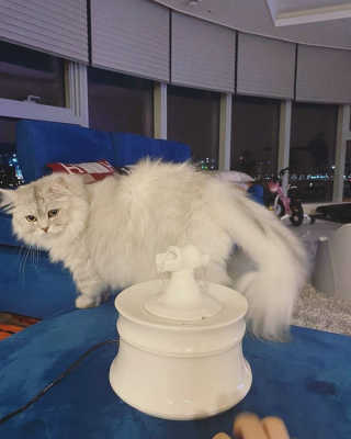 까꿍님이 올린 리뷰 사진 4