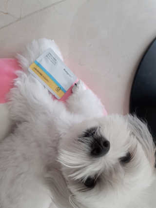 loveskyboom님이 올린 리뷰 사진 4