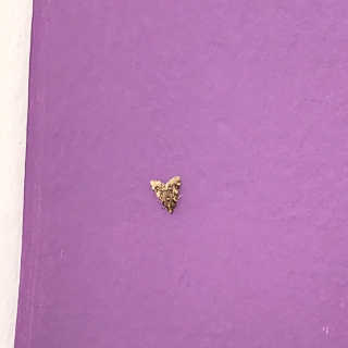 지지님이 올린 리뷰 사진 3