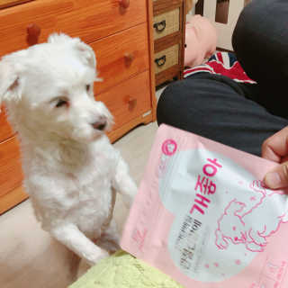 My Pet Care 천연단백질 관절건강에 개좋아 — 4점을 준 리뷰어가 2020년 12월 올린 사용 사진