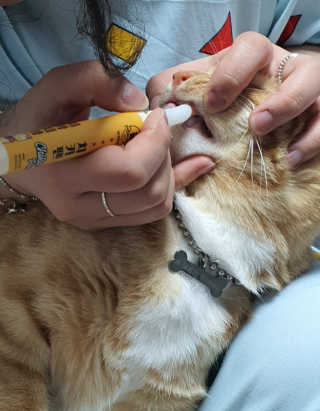 피부바리스타님이 올린 리뷰 사진 2