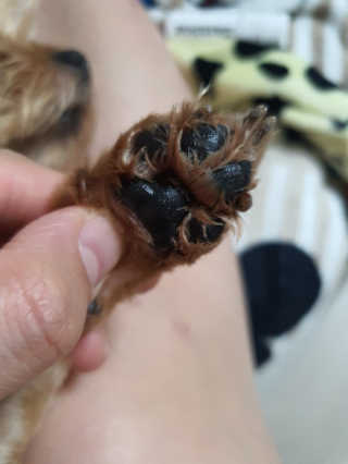 요니님이 올린 리뷰 사진 4