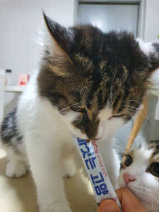shrubber님이 올린 리뷰 사진 2