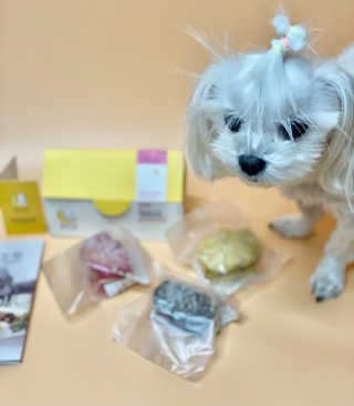salamba님이 올린 리뷰 사진 1