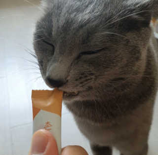 여온님이 올린 리뷰 사진 2
