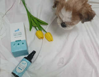 슬기님이 올린 리뷰 사진 2