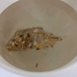 Merikoku님이 올린 리뷰 사진 3