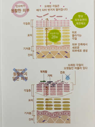 yanylj님이 올린 리뷰 사진 3
