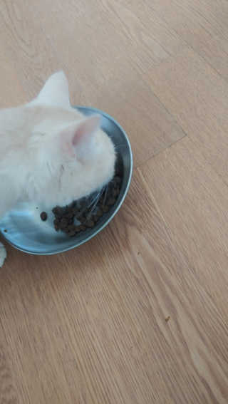 리나님이 올린 리뷰 사진 2
