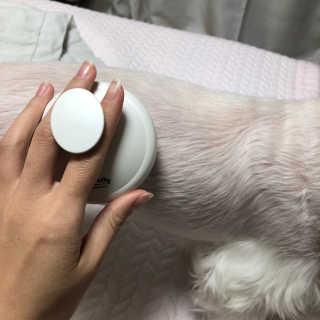 자극 없이 털/각질 관리가 가능한 코코몰리 실리콘 목욕 브러쉬 — 4점을 준 리뷰어가 2020년 11월 올린 사용 사진