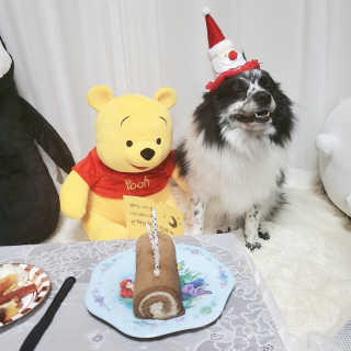 때니님이 올린 리뷰 사진 2