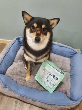 My Pet Care 천연단백질 눈건강에 개좋아 — 5점을 준 리뷰어가 2020년 11월 올린 사용 사진