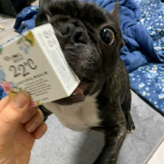 poipoo님이 올린 리뷰 사진 2