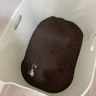표노루님이 올린 리뷰 사진 3