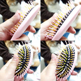 아이캔디 레인보우 볼륨S  브러쉬 for PET 미디엄 — 4.5점을 준 리뷰어가 2020년 11월 올린 사용 사진