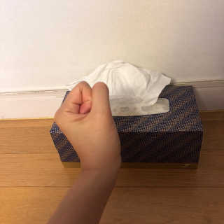 잘풀리는집 부드러운 모이스처 보습 미용 티슈 230매 — 5점을 준 리뷰어가 2020년 9월 올린 사용 사진