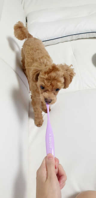 ehlove님이 올린 리뷰 사진 3