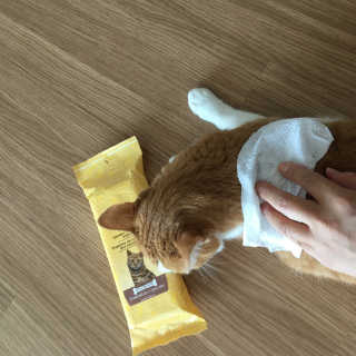 또블리님이 올린 리뷰 사진 3